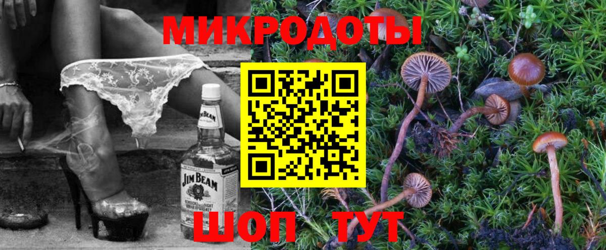 Кириши  Галлюциногенные грибы GOLDEN TEACHER  Вход с VPN 
